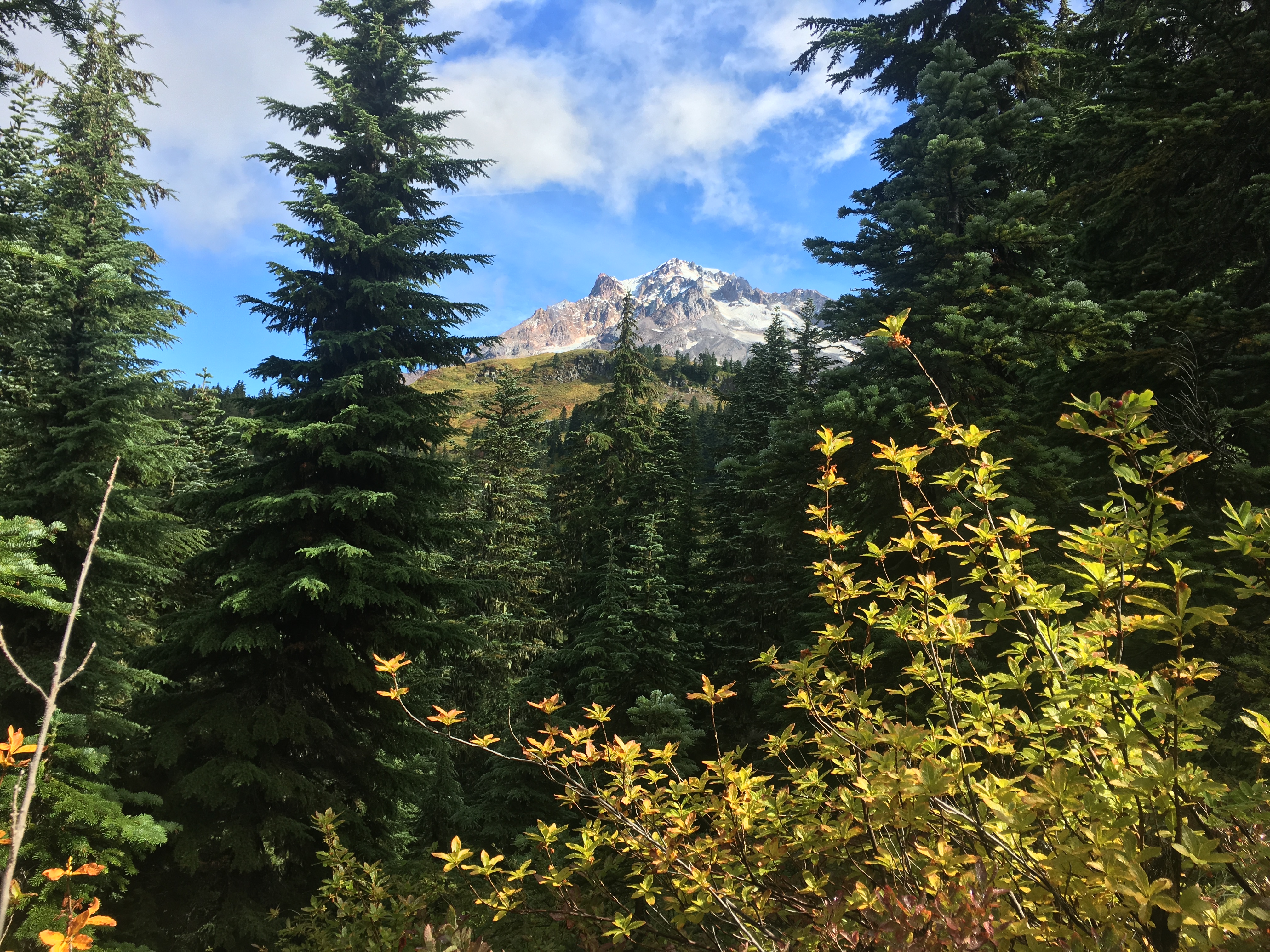 Photo 24-09-2019, 11 47 17 (1)