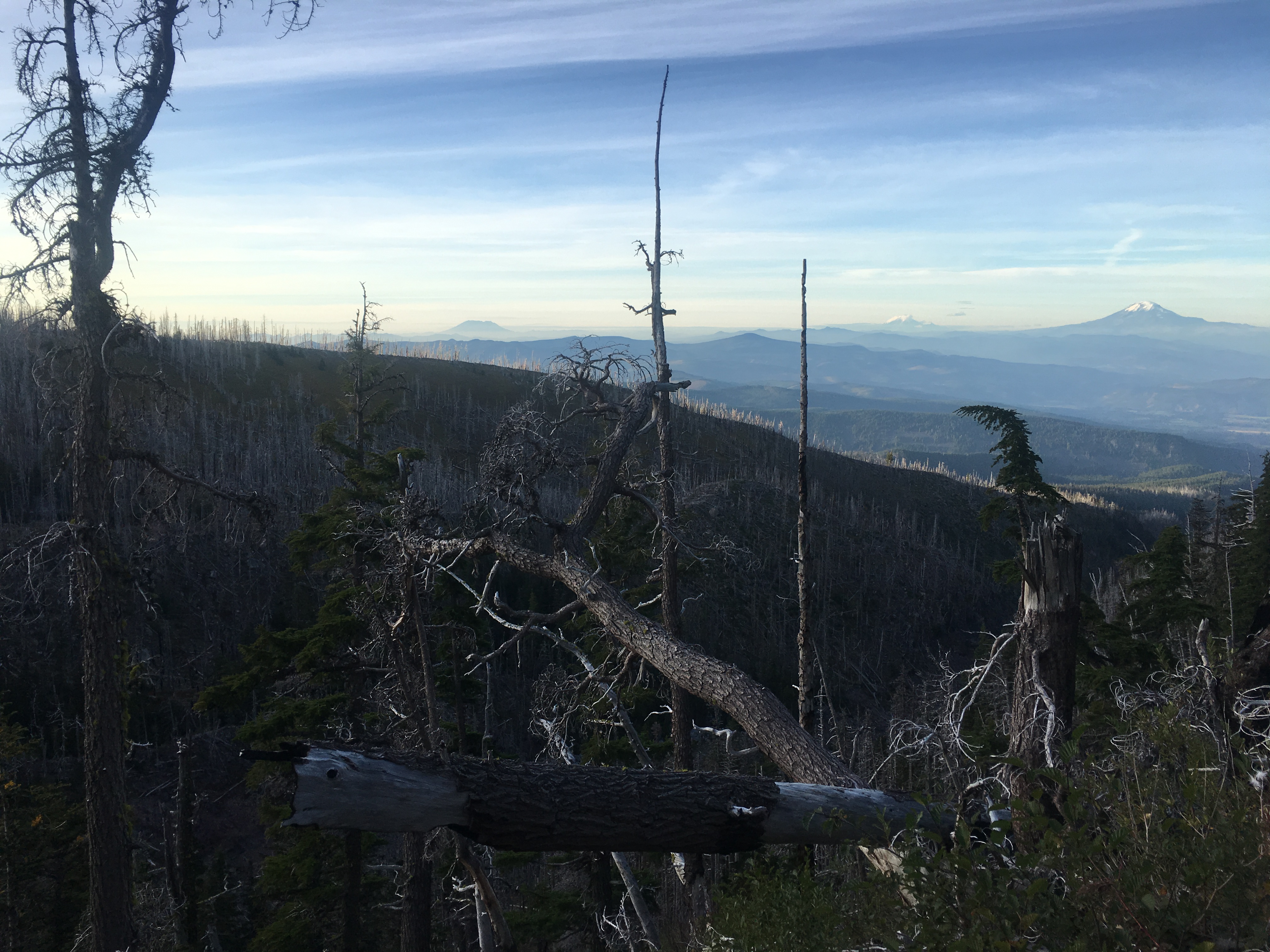 Photo 25-09-2019, 18 10 04