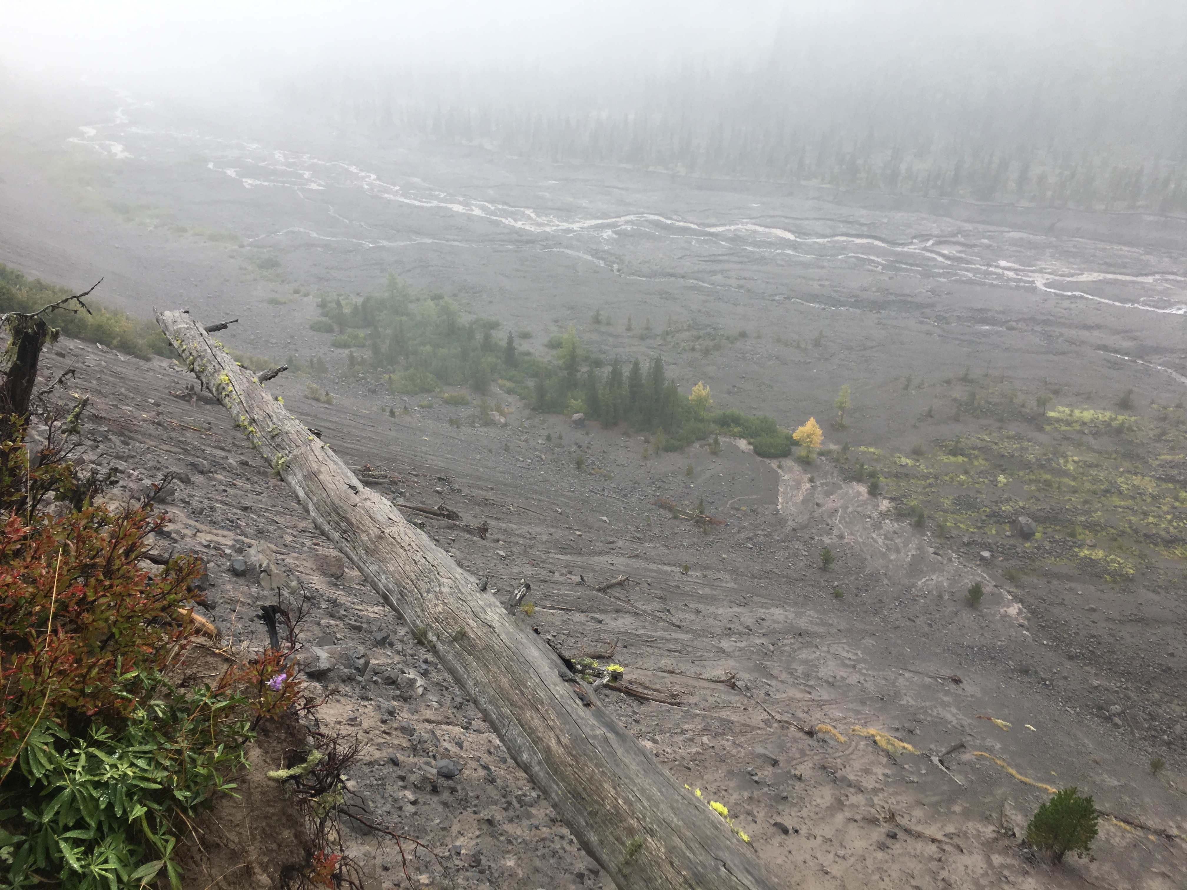 Photo 26-09-2019, 14 24 29